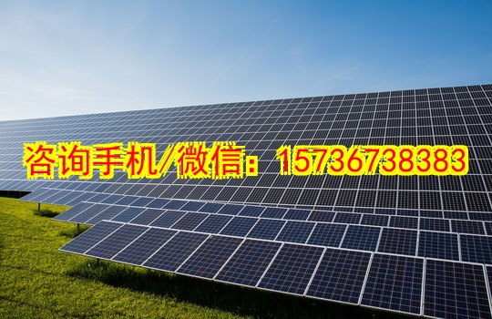扬州代妈男装批发